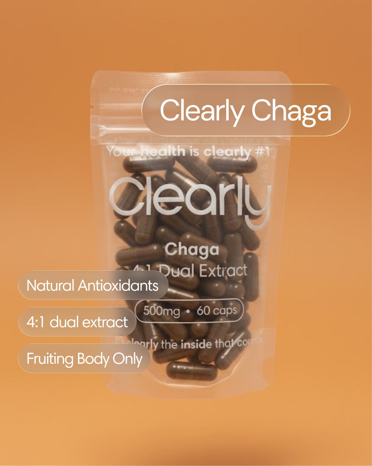 Chaga