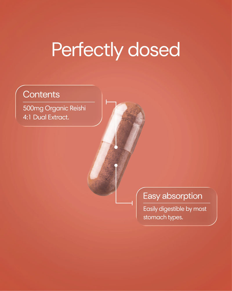 Clearly Reishi capsules shown in a bottle, herbal supplement for immune support and wellness, natural mushroom extract capsules.