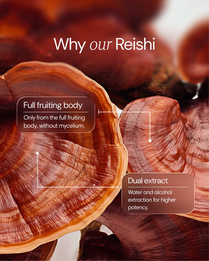 Clearly Reishi capsules shown in a bottle, emphasizing their health benefits and natural mushroom ingredients.